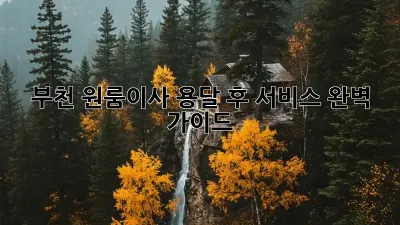 부천 원룸이사, 용달 후 서비스 완벽 가이드!