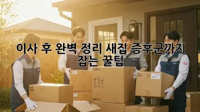 이사 후 완벽 정리, 새집 증후군까지 잡는 꿀팁!