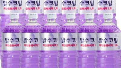 자동차 워셔액 12개 대박 할인! 득템 후기와 꿀팁 대방출!