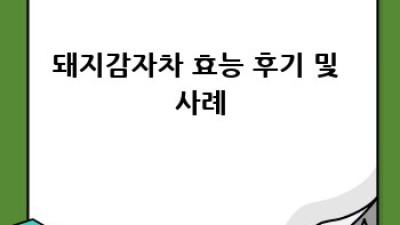 돼지감자차 효능: 혈당, 다이어트, 건강까지!