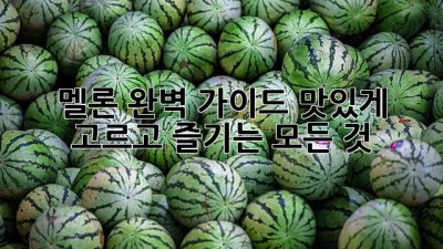 멜론 완벽 가이드: 맛있게 고르고 즐기는 모든 것!