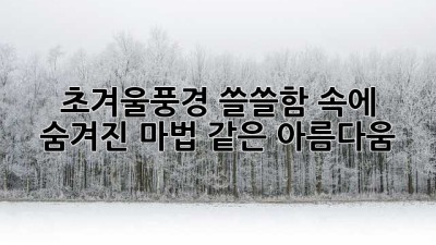 🧣 초겨울풍경: 쓸쓸함 속에 숨겨진 마법 같은 아름다움 ❄️